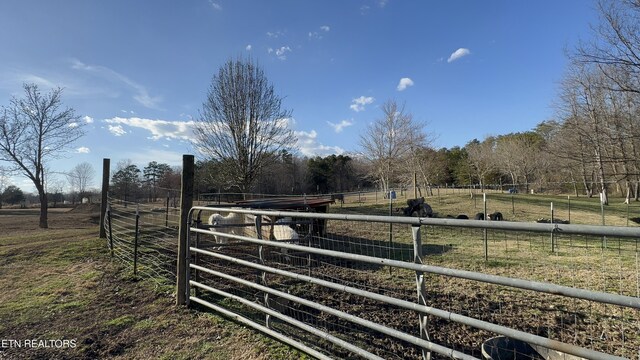 357 Doc Norton Rd, Walland, TN 37886 - photo 11