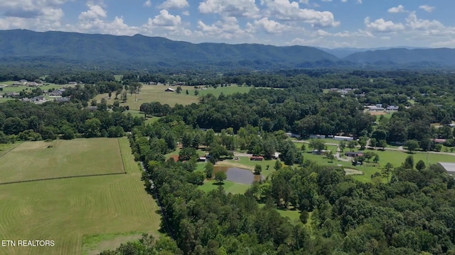 357 Doc Norton Rd, Walland, TN 37886 - photo 49