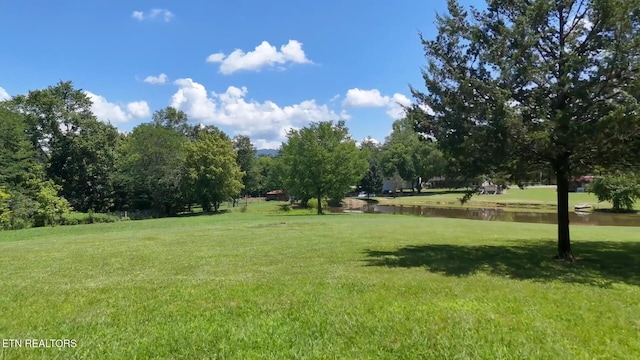 357 Doc Norton Rd, Walland, TN 37886 - photo 3
