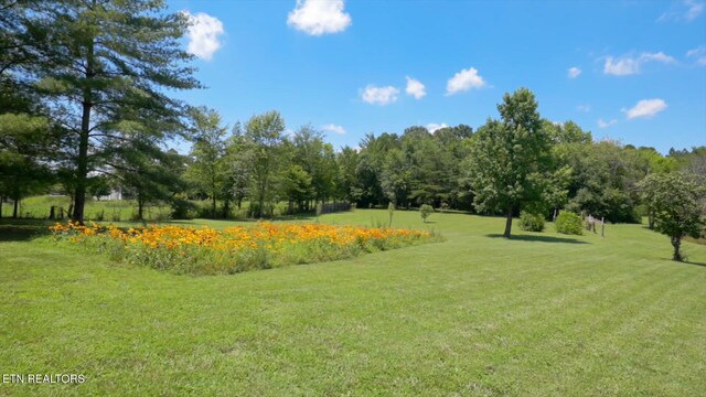 357 Doc Norton Rd, Walland, TN 37886 - photo 2