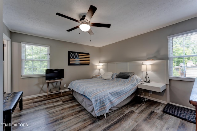 8225 Cricket Rd, Powell, TN 37849 - photo 13