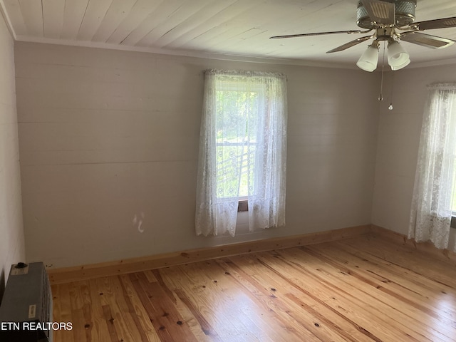 489 Wilson Rd, Speedwell, TN 37870 - photo 10