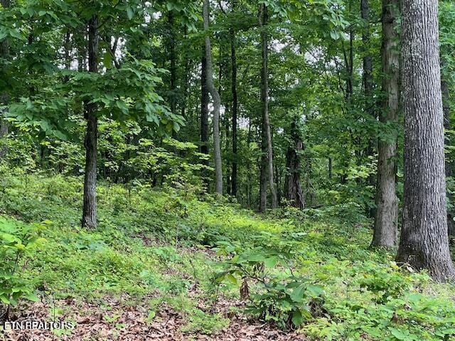 506 Grande Vista Dr, Rockwood, TN 37854 - photo 2