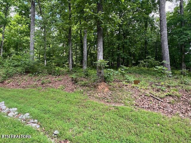 506 Grande Vista Dr, Rockwood, TN 37854 - photo 1