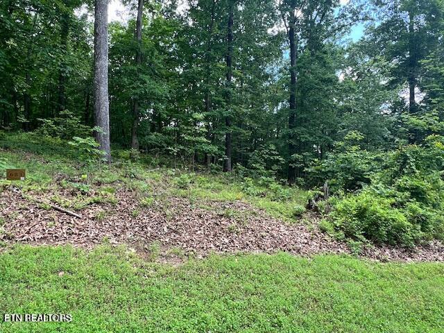 506 Grande Vista Dr, Rockwood, TN 37854 - photo 3