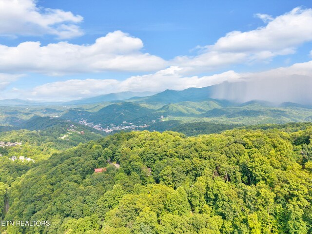 N Baden Dr, Gatlinburg, TN 37738 - photo 5