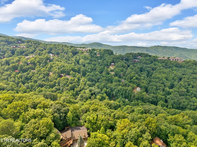 N Baden Dr, Gatlinburg, TN 37738 - photo 6