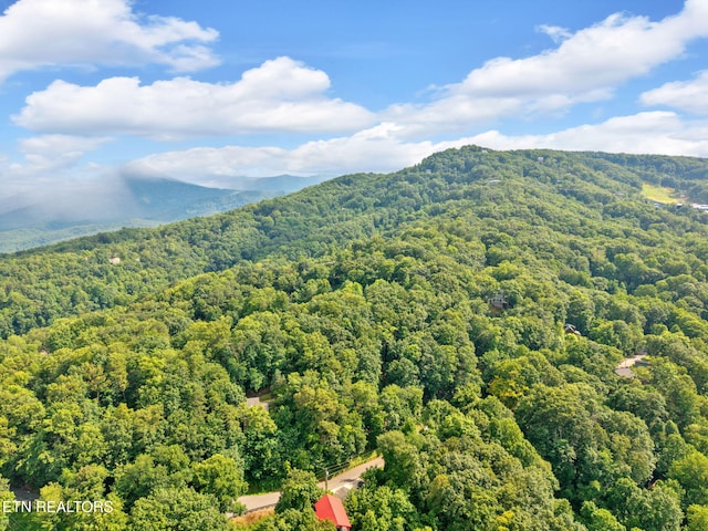 N Baden Dr, Gatlinburg, TN 37738 - photo 9