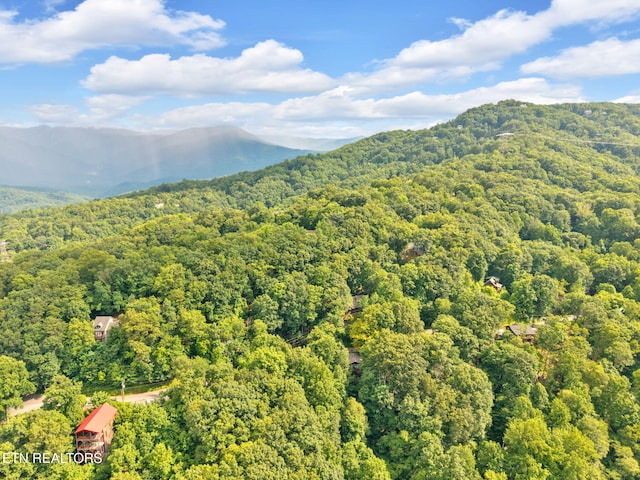 N Baden Dr, Gatlinburg, TN 37738 - photo 10