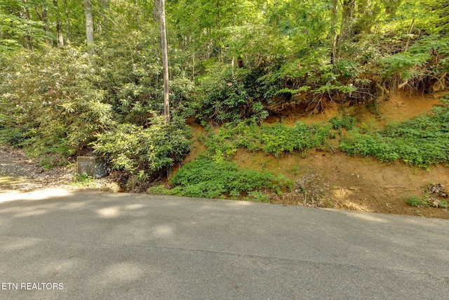 N Baden Dr, Gatlinburg, TN 37738 - photo 1