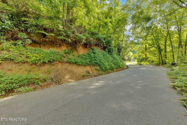 N Baden Dr, Gatlinburg, TN 37738 - photo 3