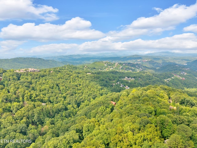 N Baden Dr, Gatlinburg, TN 37738 - photo 11