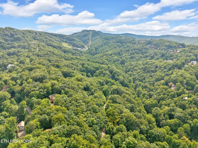 N Baden Dr, Gatlinburg, TN 37738 - photo 12