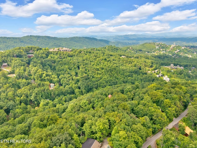 N Baden Dr, Gatlinburg, TN 37738 - photo 13