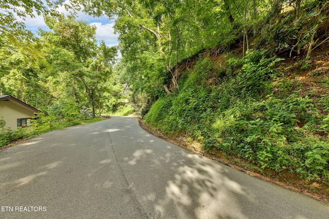 N Baden Dr, Gatlinburg, TN 37738 - photo 2