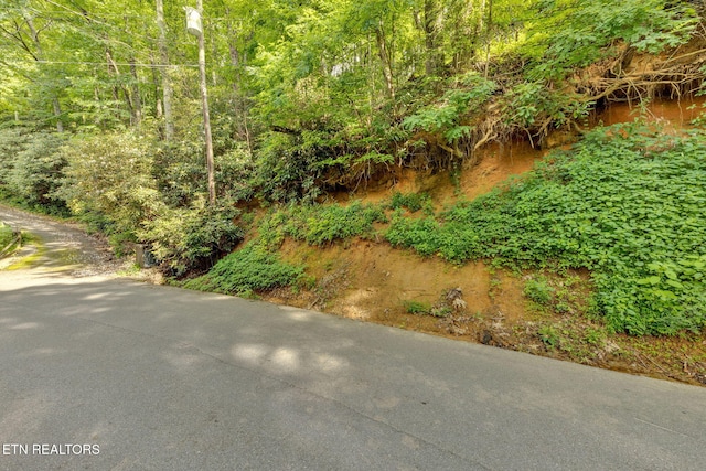 N Baden Dr, Gatlinburg, TN 37738 - photo 4