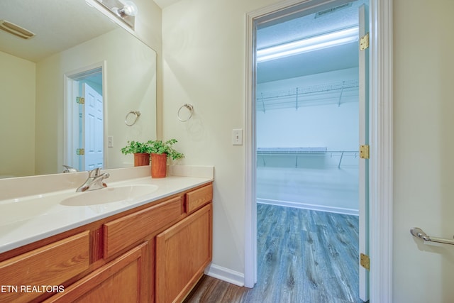 1709 Maple View Way Unit 4A, Knoxville, TN 37918 - bathroom with wood finished floors, vanity, and a walk in closet
