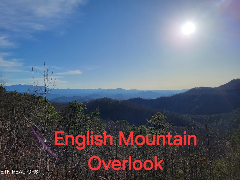 Buttonwood Dr, Sevierville, TN 37876