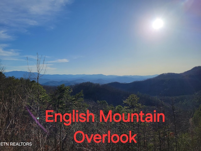 Buttonwood Dr, Sevierville, TN 37876