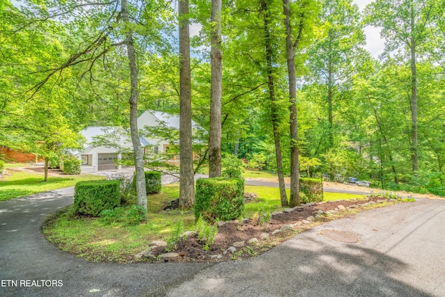706 Skyline Dr, Gatlinburg, TN 37738 - photo 10