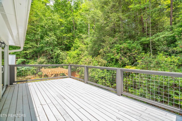 706 Skyline Dr, Gatlinburg, TN 37738 - photo 45