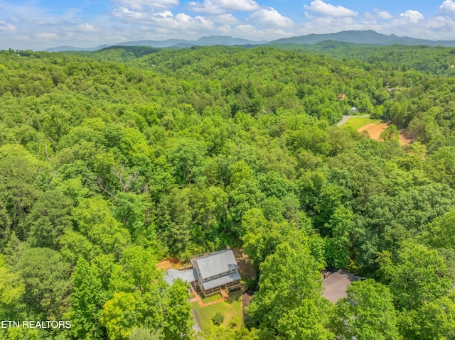 706 Skyline Dr, Gatlinburg, TN 37738 - photo 56
