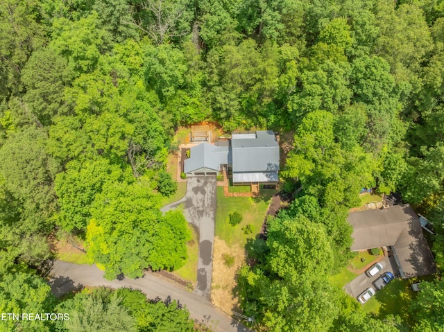 706 Skyline Dr, Gatlinburg, TN 37738 - photo 7