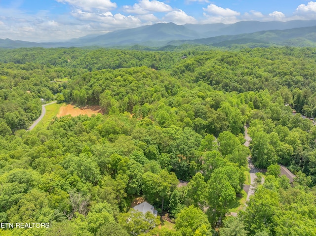 706 Skyline Dr, Gatlinburg, TN 37738 - photo 57