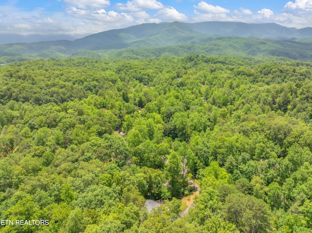 706 Skyline Dr, Gatlinburg, TN 37738 - photo 58