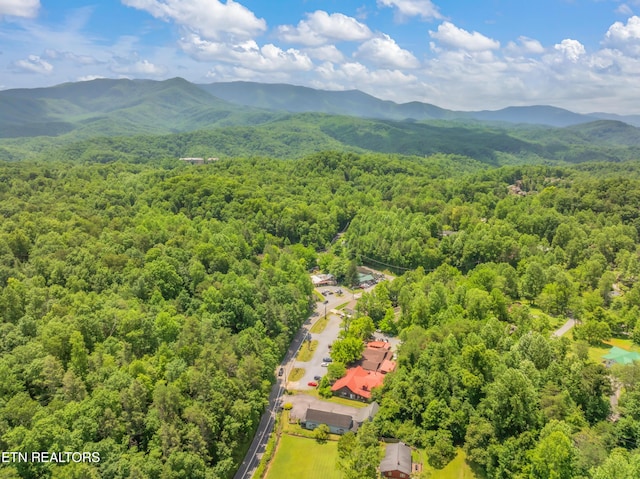 706 Skyline Dr, Gatlinburg, TN 37738 - photo 8