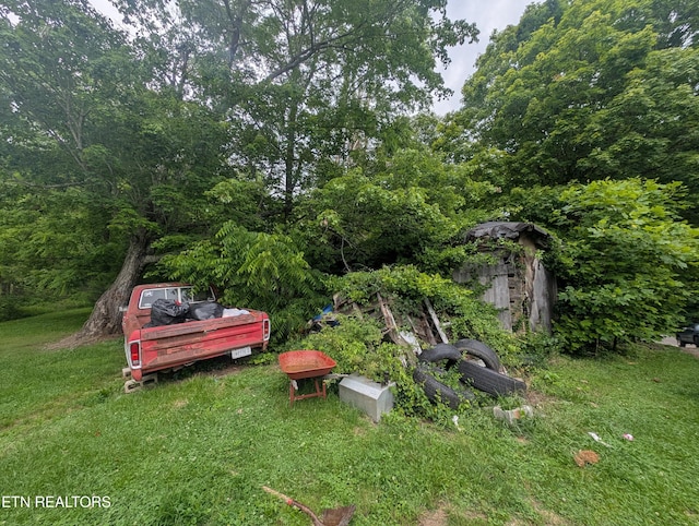 Mt Helen Rd, Allardt, TN 38504 - photo 7