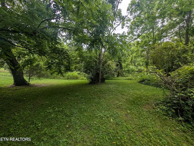 Mt Helen Rd, Allardt, TN 38504 - photo 11