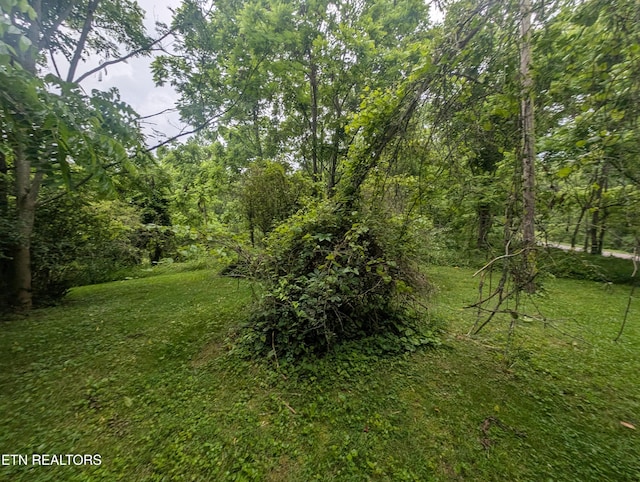 Mt Helen Rd, Allardt, TN 38504 - photo 12