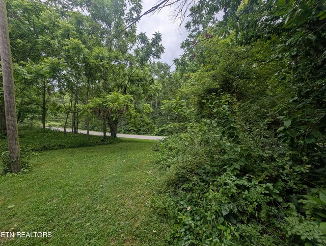 Mt Helen Rd, Allardt, TN 38504 - photo 13