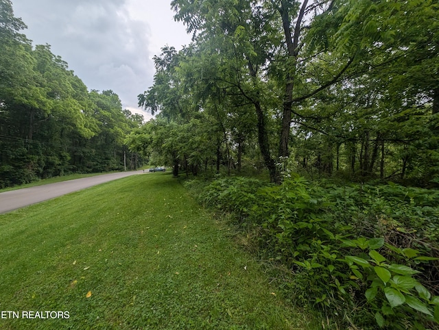 Mt Helen Rd, Allardt, TN 38504 - photo 5