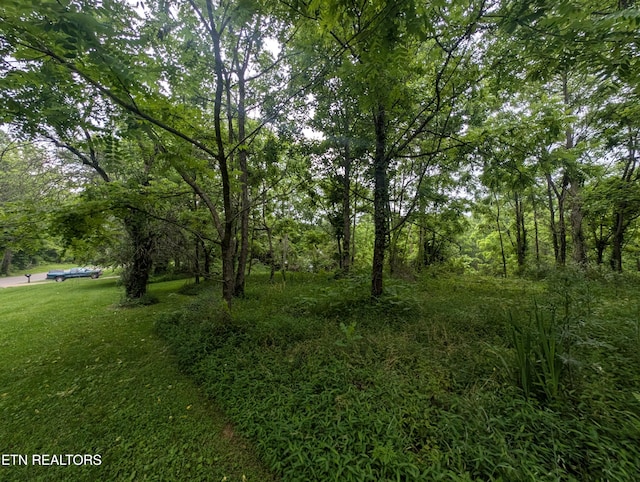 Mt Helen Rd, Allardt, TN 38504 - photo 4