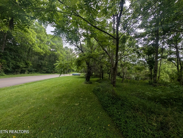 Mt Helen Rd, Allardt, TN 38504 - photo 16