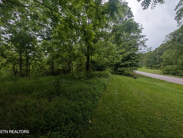 Mt Helen Rd, Allardt, TN 38504 - photo 17