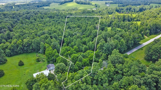Mt Helen Rd, Allardt, TN 38504 - photo 21