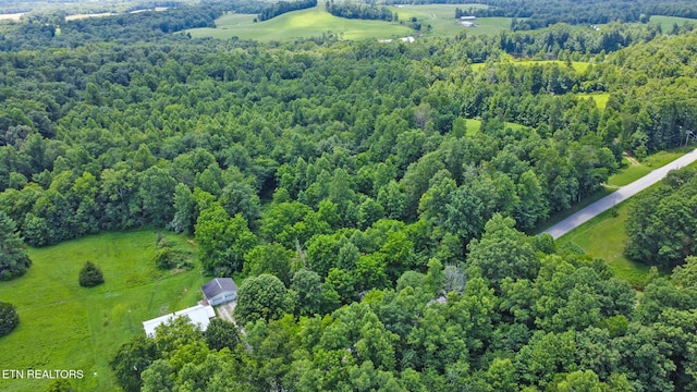 Mt Helen Rd, Allardt, TN 38504 - photo 22