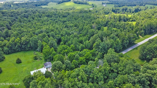 Mt Helen Rd, Allardt, TN 38504 - photo 23