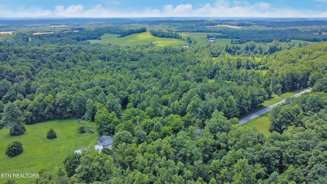 Mt Helen Rd, Allardt, TN 38504 - photo 24