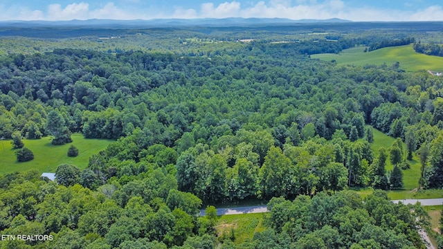 Mt Helen Rd, Allardt, TN 38504 - photo 25