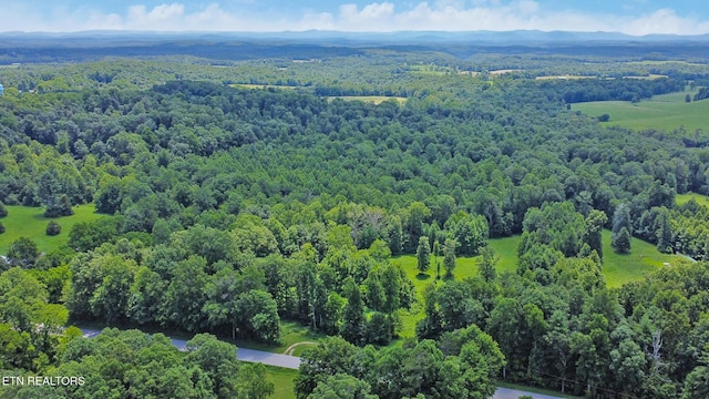 Mt Helen Rd, Allardt, TN 38504 - photo 26