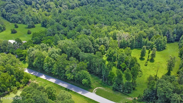 Mt Helen Rd, Allardt, TN 38504 - photo 27
