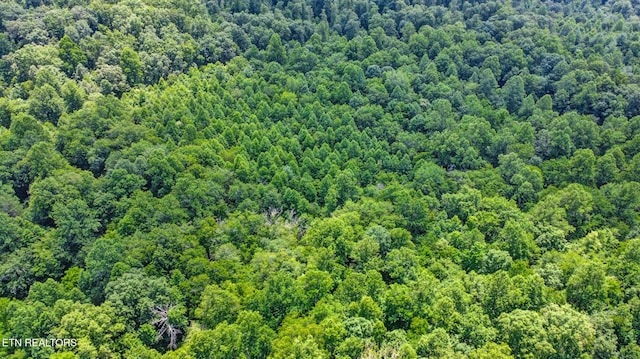 Mt Helen Rd, Allardt, TN 38504 - photo 28