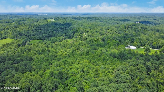 Mt Helen Rd, Allardt, TN 38504 - photo 29