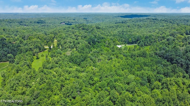 Mt Helen Rd, Allardt, TN 38504 - photo 30