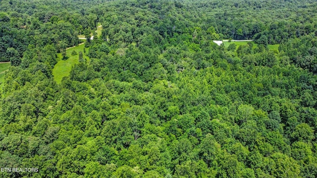 Mt Helen Rd, Allardt, TN 38504 - photo 31