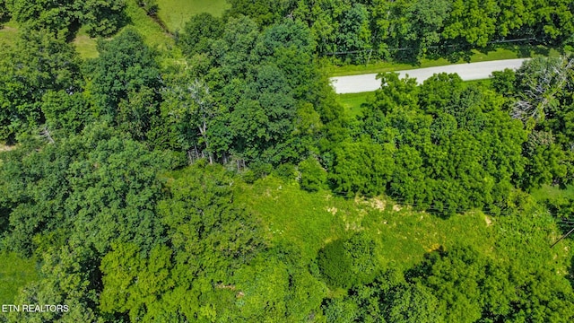 Mt Helen Rd, Allardt, TN 38504 - photo 32